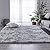 TABAYON Indoor Modern Soft 7x10 Shag Area Rugs, Non-Slip Plush Nursery Accent Area Rug, Furry Faux Fur Shaggy Carpet for Living Room Home Decor Tie-Dyed Light Grey