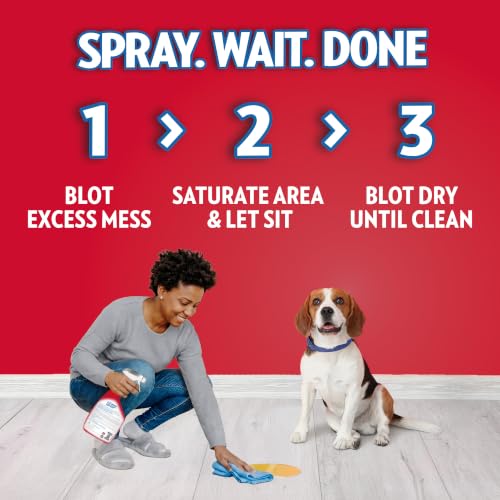 Image of OUT! PetCare Pet Stain & Odor Remover, Carpet Cleaner, 32oz (2 Pack) | Dog Stain & Odor Remover, Pet Odor Eliminator, Floor Cleaner, Dogs & Cats, Carpet Cleaner, Cat Stain Remover, Made in USA