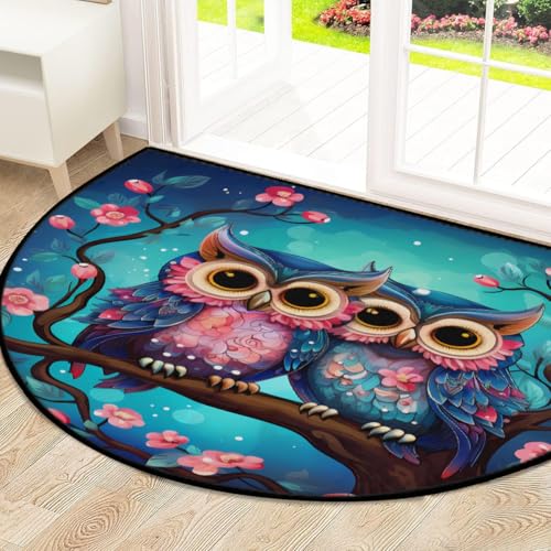 Mexpekil Paillasson semi-circulaire 160 x 100,1 cm - Motif chouette - Absorbant - Antidérapant - Pour la maison et la cuisine