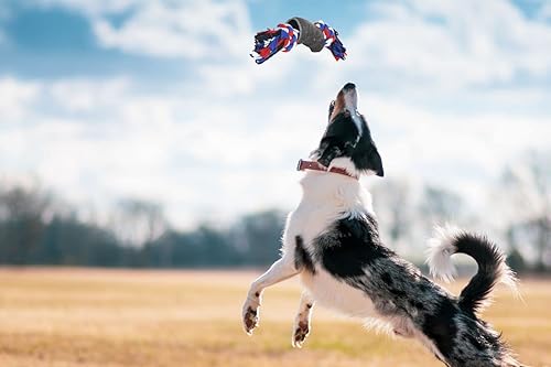 Miniatura 6 de Crazy Tails Juguetes masticables para cachorros para perros pequeños juego de juguetes para perros pequeños cuerda de algodón hueso de búfalo de 3