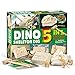 5 W 1 KIT KIT, Wykopuj i zbadaj różne skamieliny klejnotów i minerałów, zestaw do nauki edukacyjnej, znaczący prezent dla kopania entuzjastów,Dino fossils