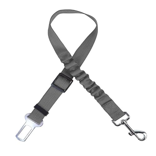 ybgV[gxgybgpiԍڃV[gxgL[veˈS[v[v