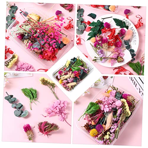 Flores secas Alipis para manualidades en paquete miniatura 5