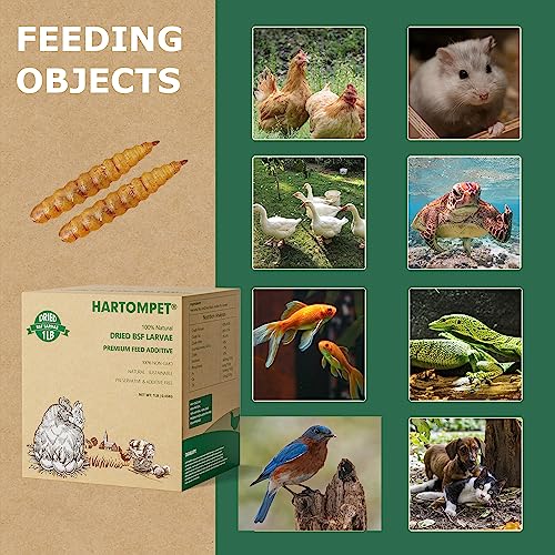 HARTOMPET Premium Dried BSF Larvae for Chickens - 1LB High Calcium Supplement, Molting and Laying Support, Non-GMO & High-Protein Treats, Food for Wild Birds, Ducks, Repitle | Top Grade BSF