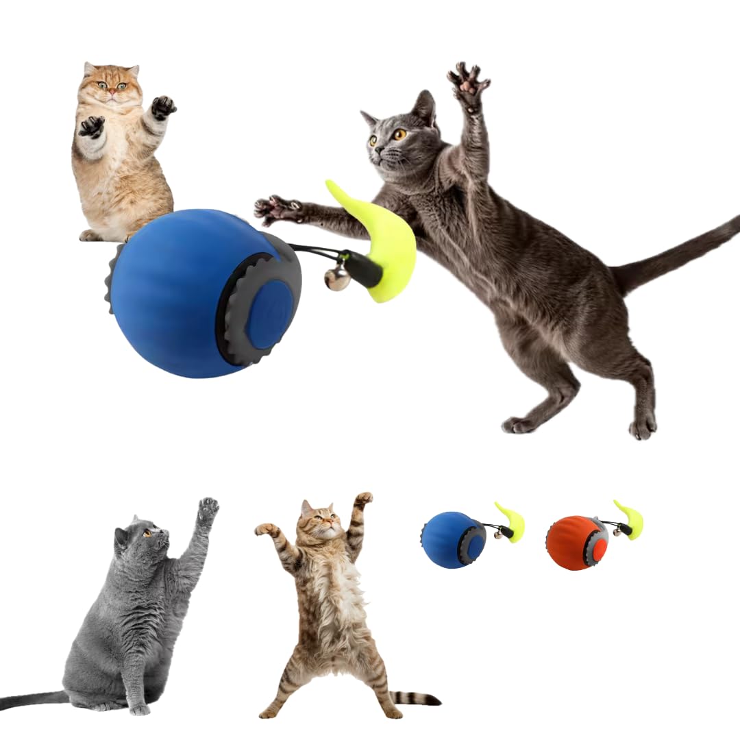 ZYKORNIUM Interactive Cat Toy Ball - Automatic Rolling Rechargeable Cat Toy, Chasing Ball for Indoor Cats & Kittens, Feather Tail, Self-Moving Toy,