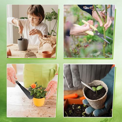 Kit de herramientas para bonsái Frienda 7 piezas miniatura 3
