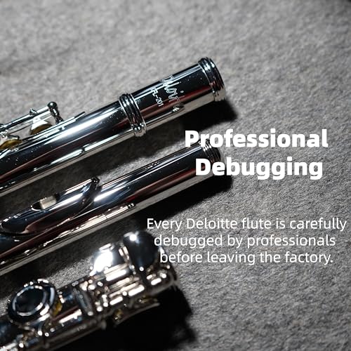Image of Deloitte C Flutes Closed Hole 16 Keys Flute Silver Plated, DFL-201, for Beginner Student Flute Instrument with Cleaning Kit, Carrying Case, Gloves, Tuning Rod