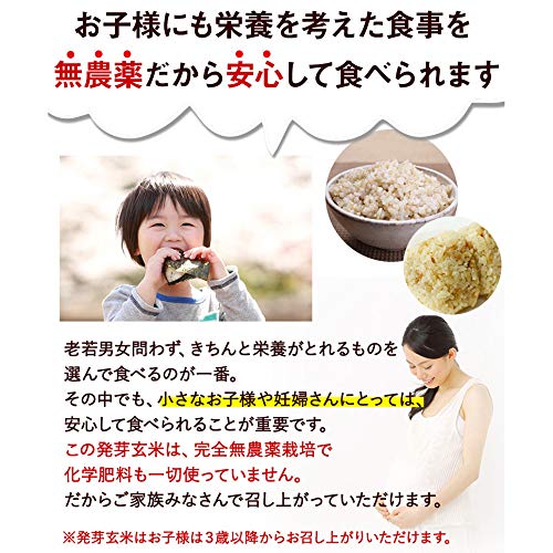 Amazon.co.jp: 発芽玄米 無農薬・無化学肥料栽培 無農薬コシヒカリ