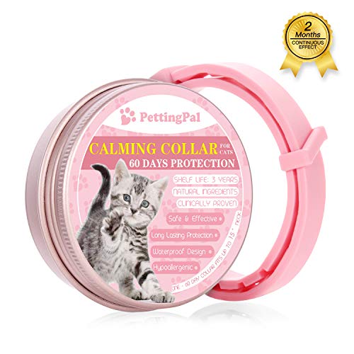 natural anxiety relief for cats