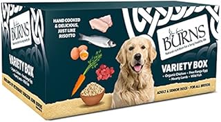 Burns Pet Natural Nutrition Adult & Senior Wet Dog Food Organic Chicken, Carrots & Organic Brown Rice 12 x 150gm