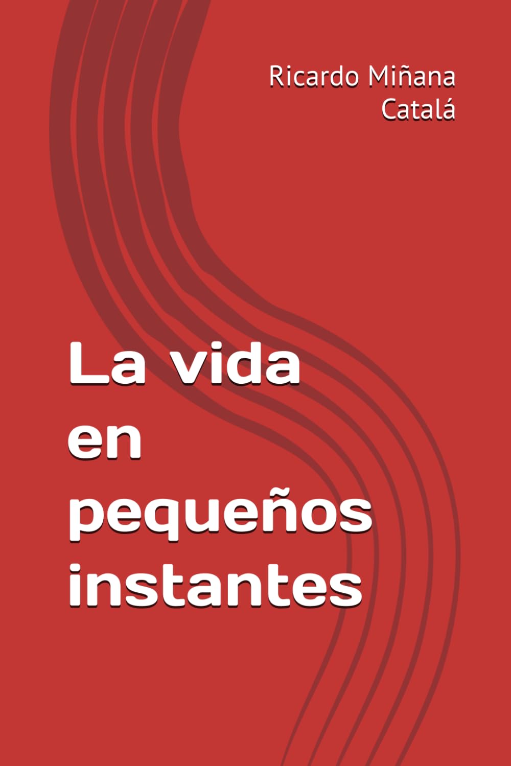 La vida en pequeños instantes