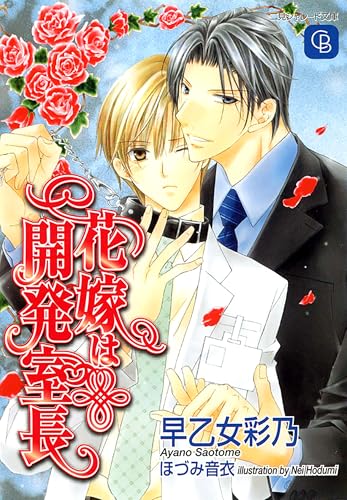 数量限定，安い】 ホドケナイ鎖 1/二見書房/早乙女彩乃 