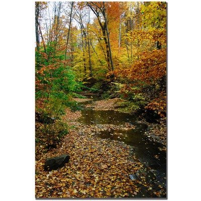 Autumn Stream by Kurt Shaffer, 16x24-Inch Canvas Wall Art