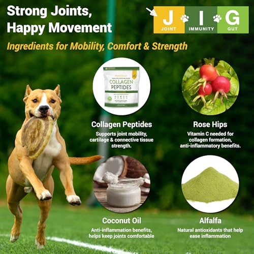 Image of MariGold JIG for Dogs - Joint, Immunity, Gut Support & Collagen for Dogs - Non-GMO, Organic Peanuts, Organic Hemp, Grain and Soy Free - 1.19 LBS (Medium)