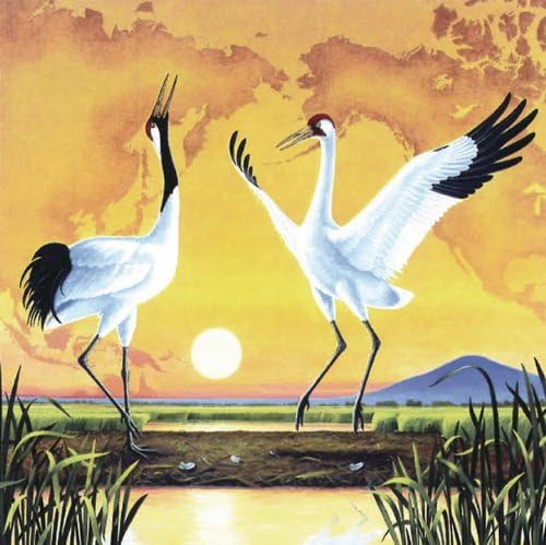 Monte Dolack - Dancing Cranes