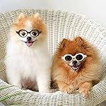 Retro oval small dogs cats eye wear party favors pet sunglasses set cute funny cosplay dolls costume photo props 12 51tjmmk1mll. Sl500. Ss150