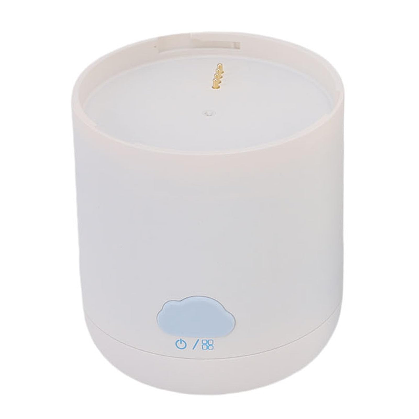 Bouilloire électrique de Voyage 500ml, 3 en 1 Chauffe-eau Portable