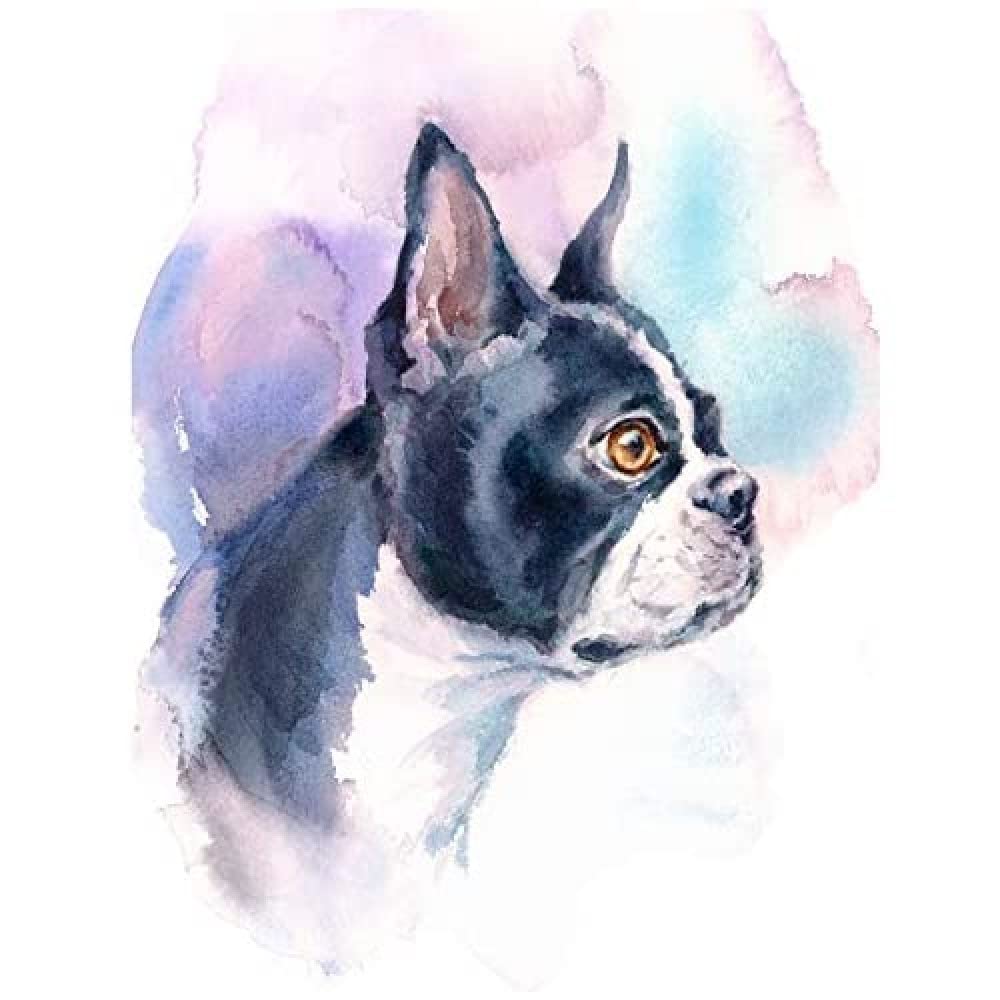 Wee Blue Coo Dog Boston Terrier Watercolour Unframed Art Print Poster Wall Decor 12x16 inch
