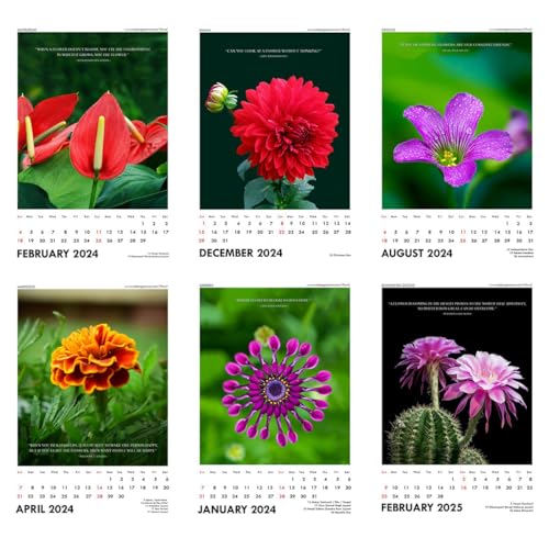 Image of Tallenge - Floral - 2023 Wall Calendar - 12 x 17 Inches for Home & Office (Paper, Wall Calendar)