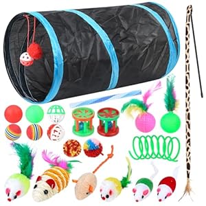 Gaomoeny 22 Stück Katzenspielzeug Set, Katzentunnel Interaktives Katzen Zubehör, Katzen Angel Spielzeug Katze Federspielzeug, Spielzeugmäuse, Katzenbälle, Cat Toys, Kitten Spielzeugs