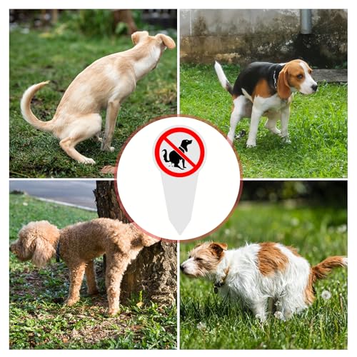 2 Stück Steckschilder Kein Hundeklo, 30 × 15 cm Hinweisschild Keine Hundetoilette, PVC Schild Hunde Kacken Verboten für Hof Park