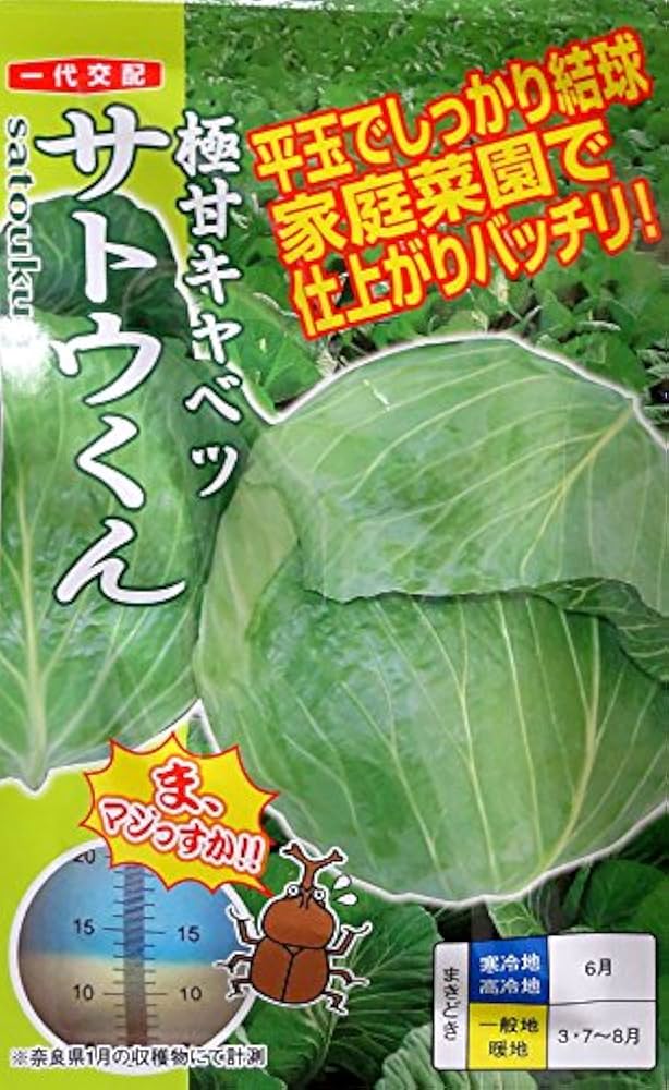サトウくん Amazon | 【種子】 極甘キャベツ サトウくん ナント種苗のタネ