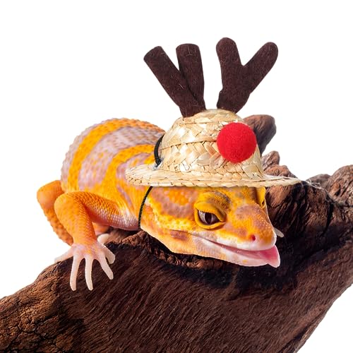 Image of Ipetboom Christmas Lizard Suit for Bearded Dragons Holiday Pet Clothing Set with Elk Hat Scarf and Leash - Comfortable and Durable Accessories for Small Lizards