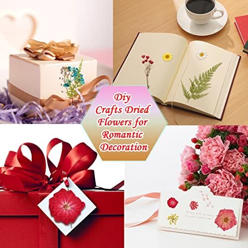 MWOOT 80Pcs Pressed Dried Flowers for Resin Crafts Art, Mixed Natural Pressed Dry Flowers Leaves Set for DIY Candle Resin Jewelry Pendant, Blue Red Yellow Petals for Face Art and Nail Art Decoration