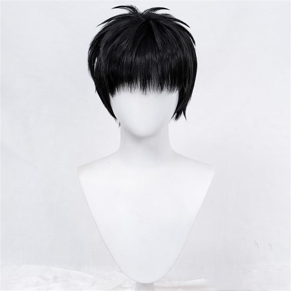 Amazon.co.jp: 流川楓 コスプレウィッグ かつら かっこいい 美男 