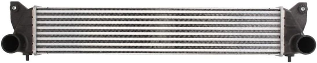 THERMOTEC DAF005TT Intercooler