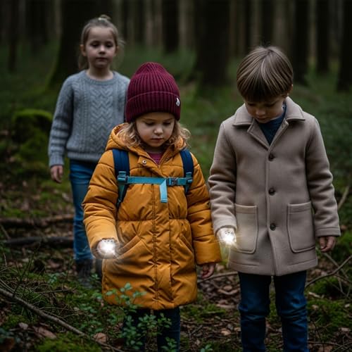 Image of Teprewes Polar Bear Outdoor Kid's Flashlight Rechargeable, Led Flashlight, Fun and Lightweight Flashlight Suitable for Camping and Outdoor Exploration, Dog Walking, Birthday Gift