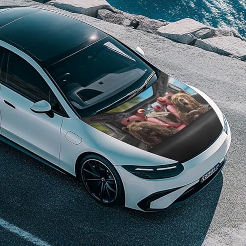 Image of Car Front Hood Cover,Bear Driving Print for Cars,Measuring 39.37 inchx59.05 inch(100x150cm) Windshield Snow Cover for Cars,Trucks,Vans