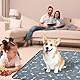 Wusboo 2 Stück Waschbar Haustier-Urinunterlage , 70 x 100 cm Hohe Saugfähigkeit Auslaufsicher Wiederverwendbare Hundeunterlage, Geeignet für Hunde, Katzen, Kaninchen und Meerschweinchen