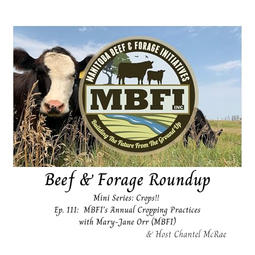 MBFI&rsquo;s Approaches to Annual Cropping for Livestock Feed with Dr. Mary-Jane Orr
