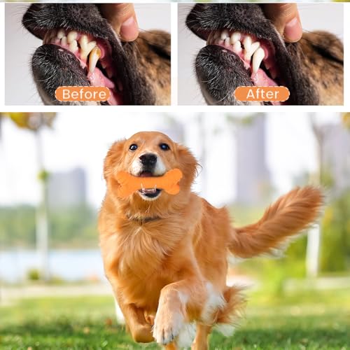 AMSNINK Hundespielzeug Unzerstörbar Kauknochen für Aggressive Kauer, Langlebiges Kauspielzeug Hund mit Zahnpflege-Rillen für Kleine, Mittelgroße & Große Rassen, Naturgummi unkaputtbar