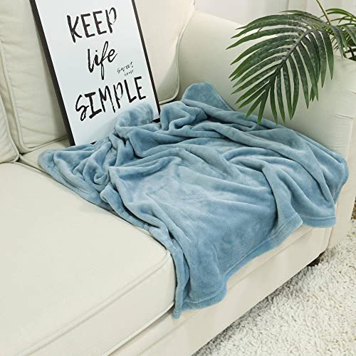 Nanpiper Baby Blankets, Super Soft Fleece Fuzzy Blanket For Toddler, Luxury Cozy Lightweight Microfiber Plush Blanket-Throw Size 30"X40",Light Blue thumb #3