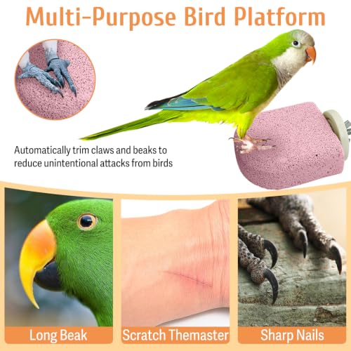 Image of PINVNBY 4 PCS Bird Perch Stands Parrot Calcium Perch Beak Grinding Stone Foot Claws Trimmer Parakeet Platform Parrot Chewing Toys for Small Medium Cockatiel Conure Lovebird Finch(Purple)