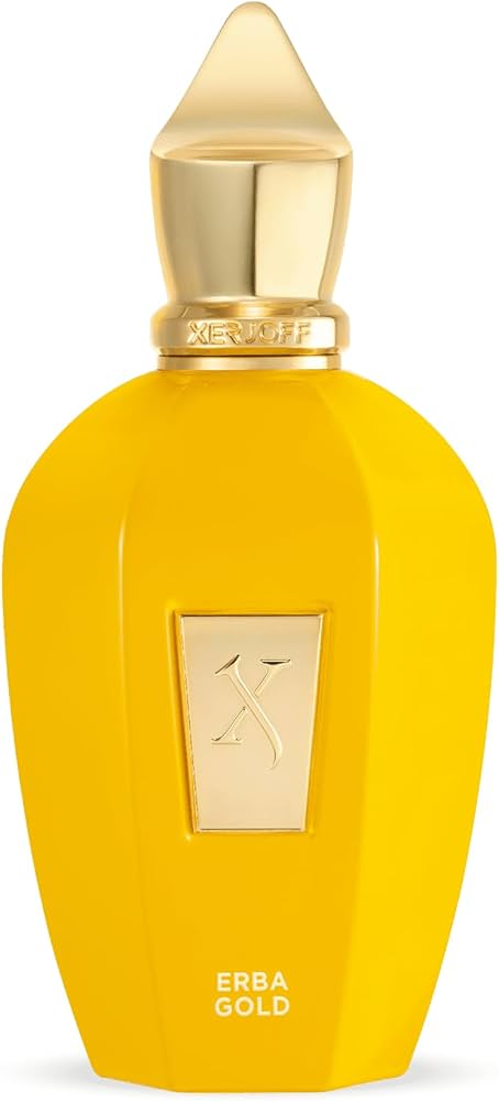Amazon.com: Xerjoff Erba Gold Eau de Parfum, 100ml / 3.4 fl oz