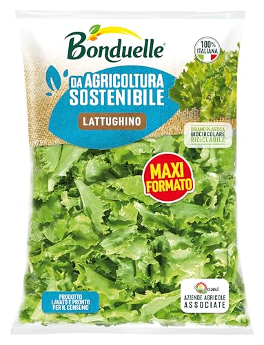 Bonduelle Lattughino 200g