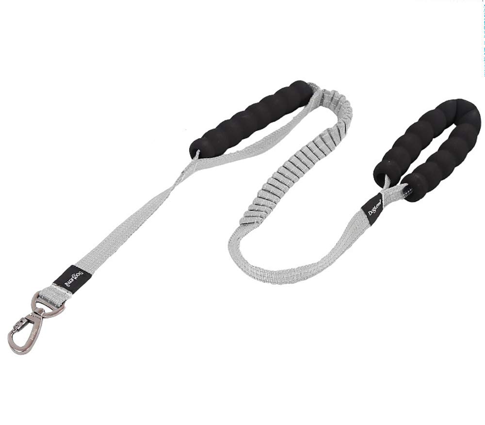Guinzaglio per Cani Bungee, Guinzaglio per Animali Domestici Bungge Che Assorbe Gli Urti con 2 Maniglie di Controllo, Riflettente per Una Camminata Notturna più Sicura