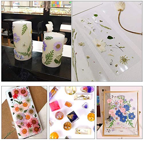 126 stuks echte gedroogde geperste bloemen, Libershine natuurlijke geperste bloemen voor hars, Scrapbooking, DIY kaars… - Afbeelding 8