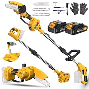 Lmozim 2 in 1 Telescopic Battery Chainsaw & Pruner on Cordless Pole Mini Chainsaw with 2 Batteries Electric Branch Cutter with Lubrication System Swivel Head for Garden