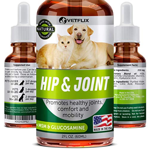 Hip & Joint Supplement for Dogs & Cats - Glucosamine Chondroitin for Dogs