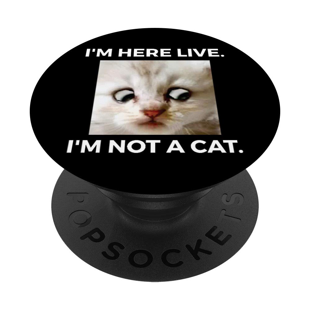 Amazon Com Cat Lawyer Meme I M Here Live I M Not A Cat Popsockets Popgrip Swappable Grip For Phones Tablets Cell Phones Accessories