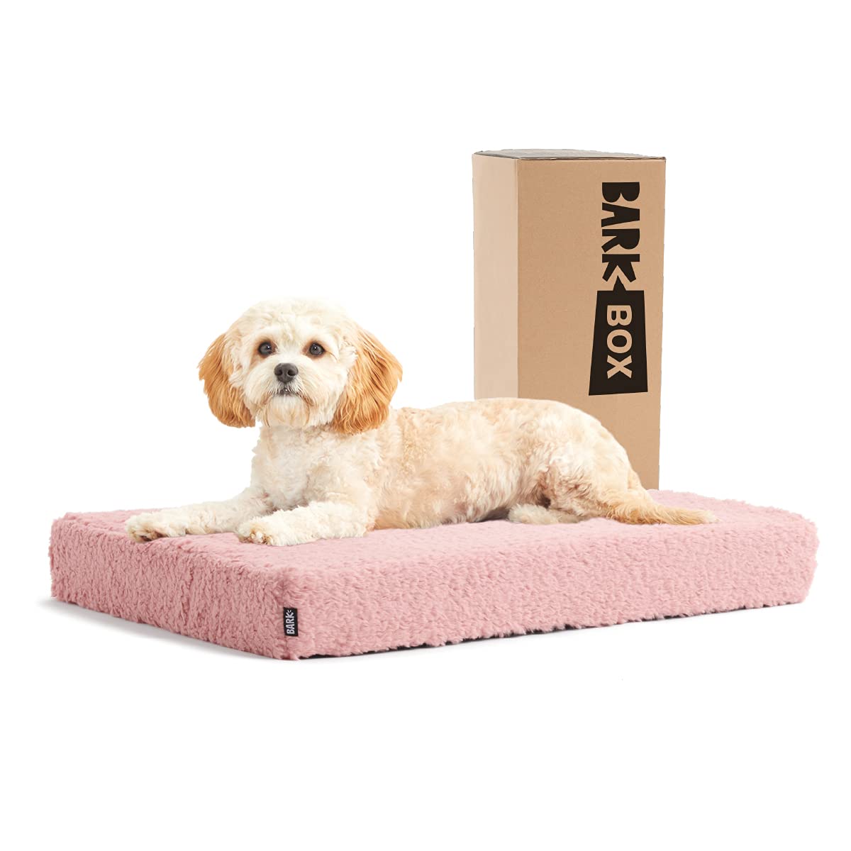 Barkbox Memory Foam Platform Dog Bed, Plush Mattress for Orthopedic Joint Relief, Machine Washable Cuddler with Removable Cover and Water-Resistant Lining, Includes Squeaker Toy