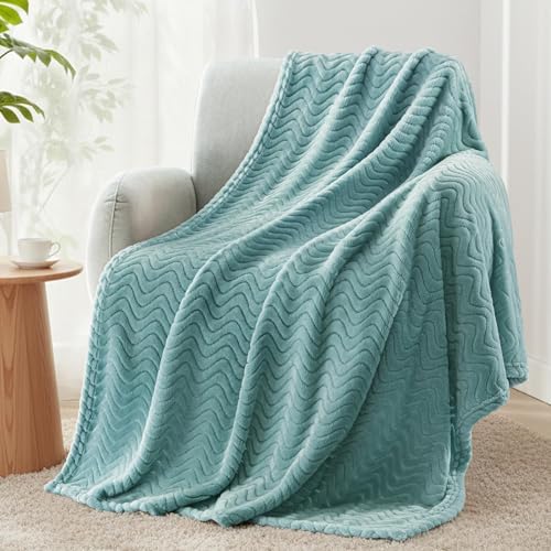 Exclusivo Mezcla Fleece Throw Blanket for Couch, Cozy Lightweight Blankets for All Season, Decorative Giftable Fuzzy Plush Wave Textured Throws for Women, Men, Celadon, 50x70 Inches