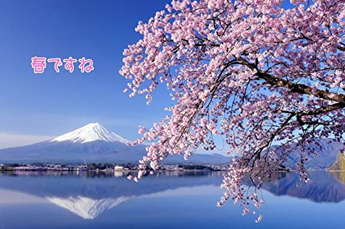 yt̃|XgJ[hzutłˁvxmRƍ̃nKLt