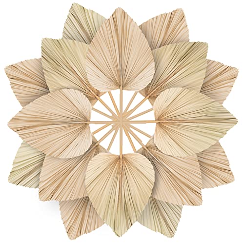Chenkaiyang 10 Large Bulk Boho Dried Palm Leaves, Fans with Stem, Natural Tropical Palm Flowers, Wedding Vase Decor