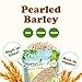 Food to Live - Pearl Barley, 3 Pounds Processed Hulled Barley, Cereal Grain, Kosher, Vegan, Bulk. Cooks Faster than Hulled Barley. High in Fiber. Great for Soups, Risottos.
