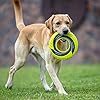 Interactive Dog Tug Toy
